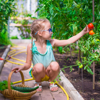 Kids Harvesting Vegetables